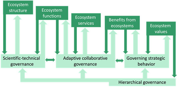 Ecosystem governance cascade