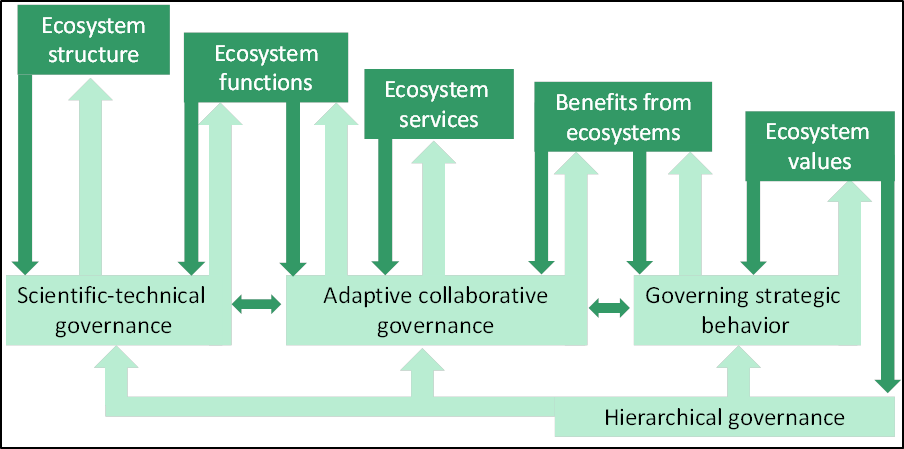 Governance cascade